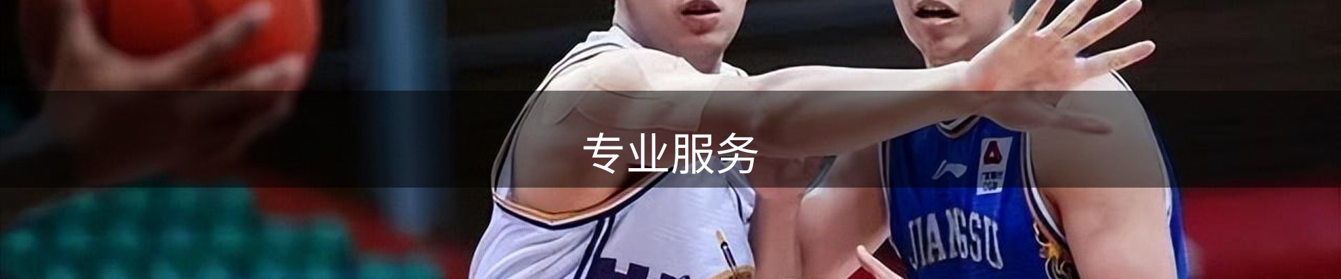 专业服务