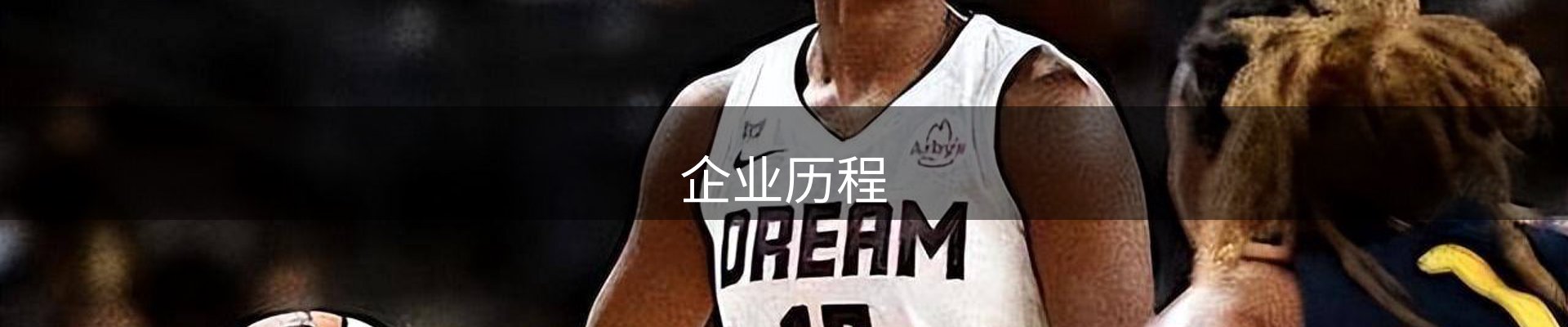 企业历程